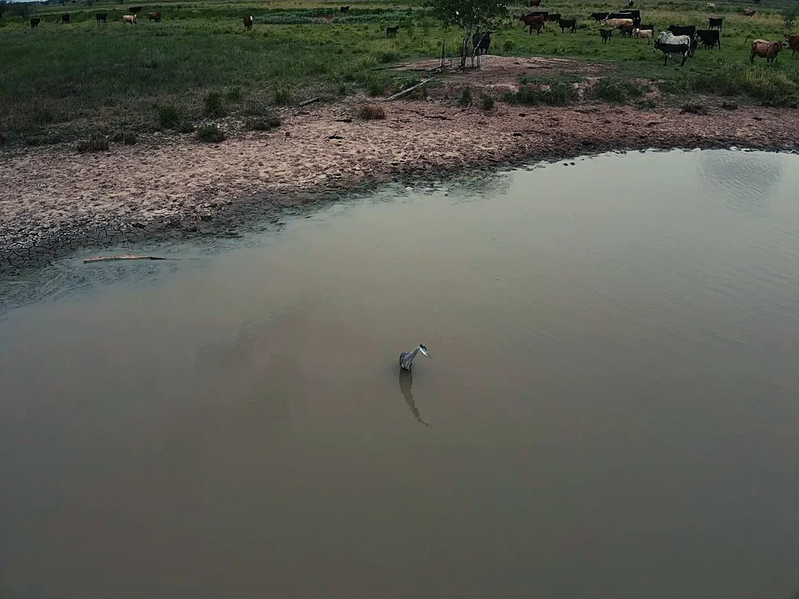 rs=w_1160,h_870 (7).webp