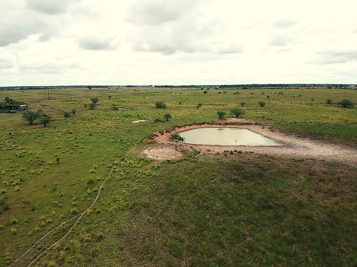 rs=w_1160,h_870 (10).webp