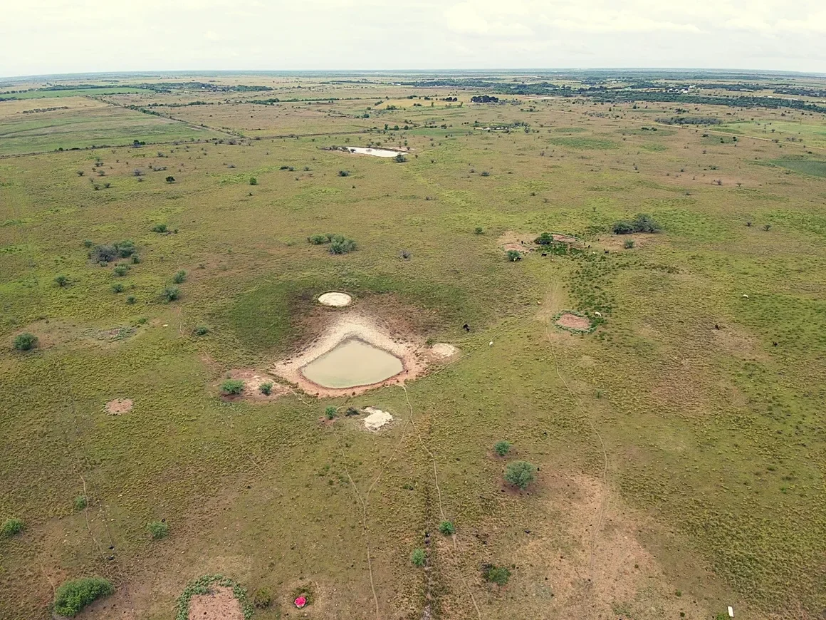 rs=w_1160,h_870 (15).webp