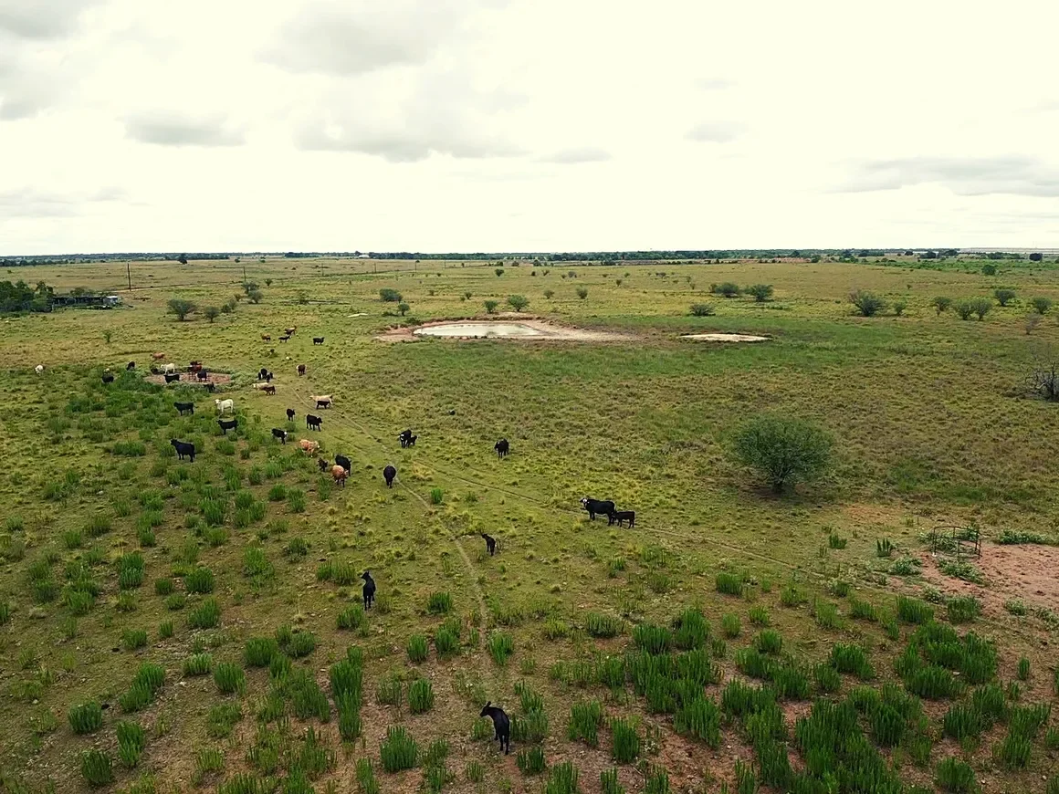 rs=w_1160,h_870 (18).webp