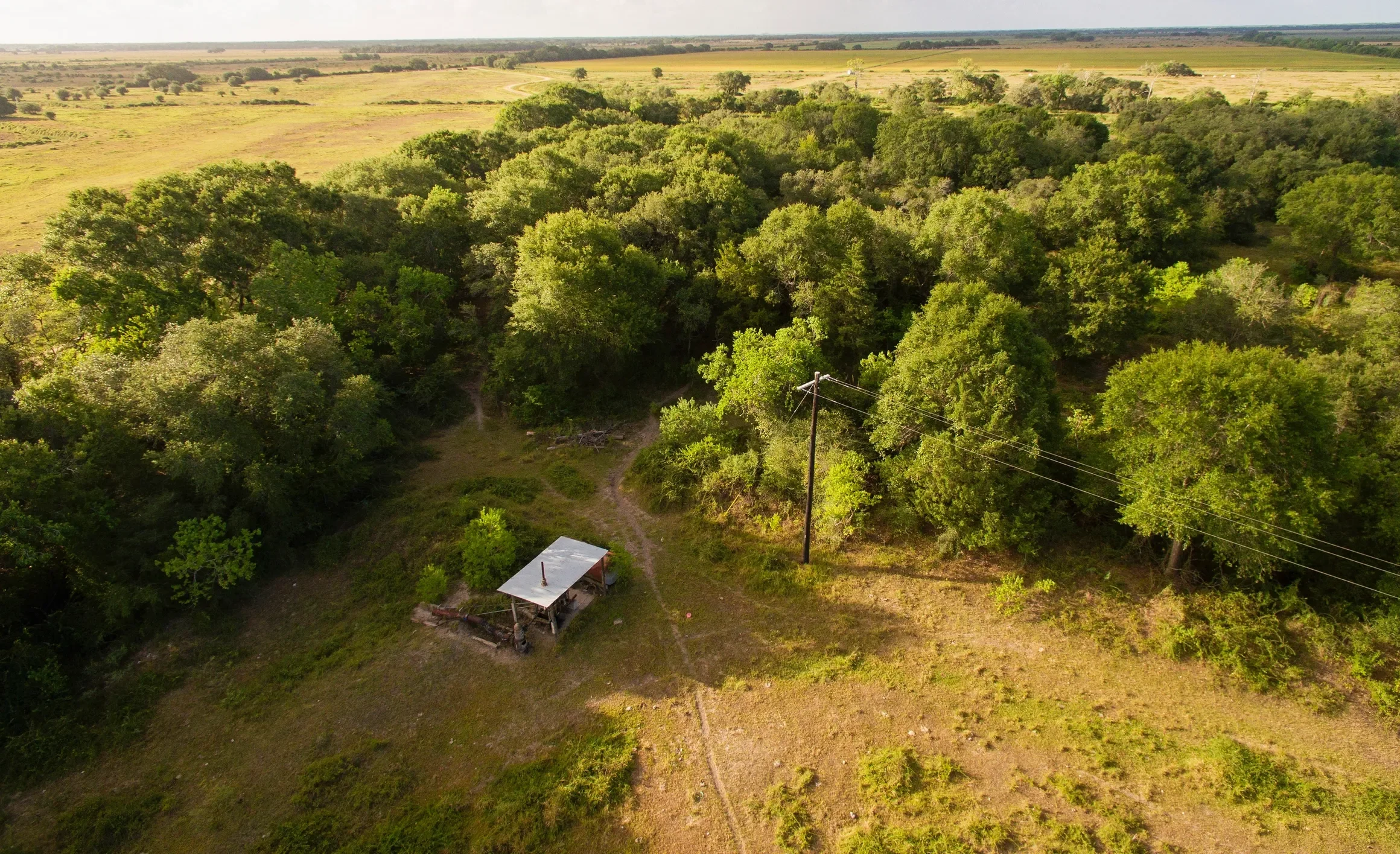 rs=w_2320,h_1415 (2).webp