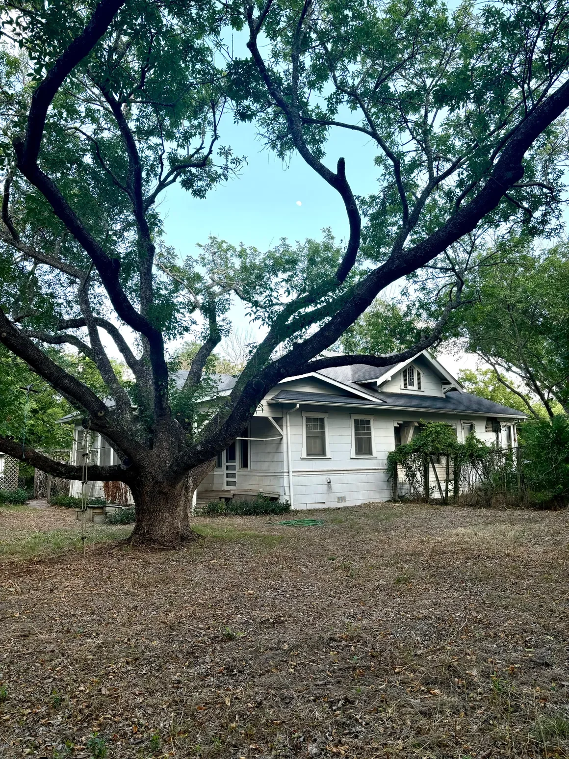 rs=w_1160,h_1547 (1).webp