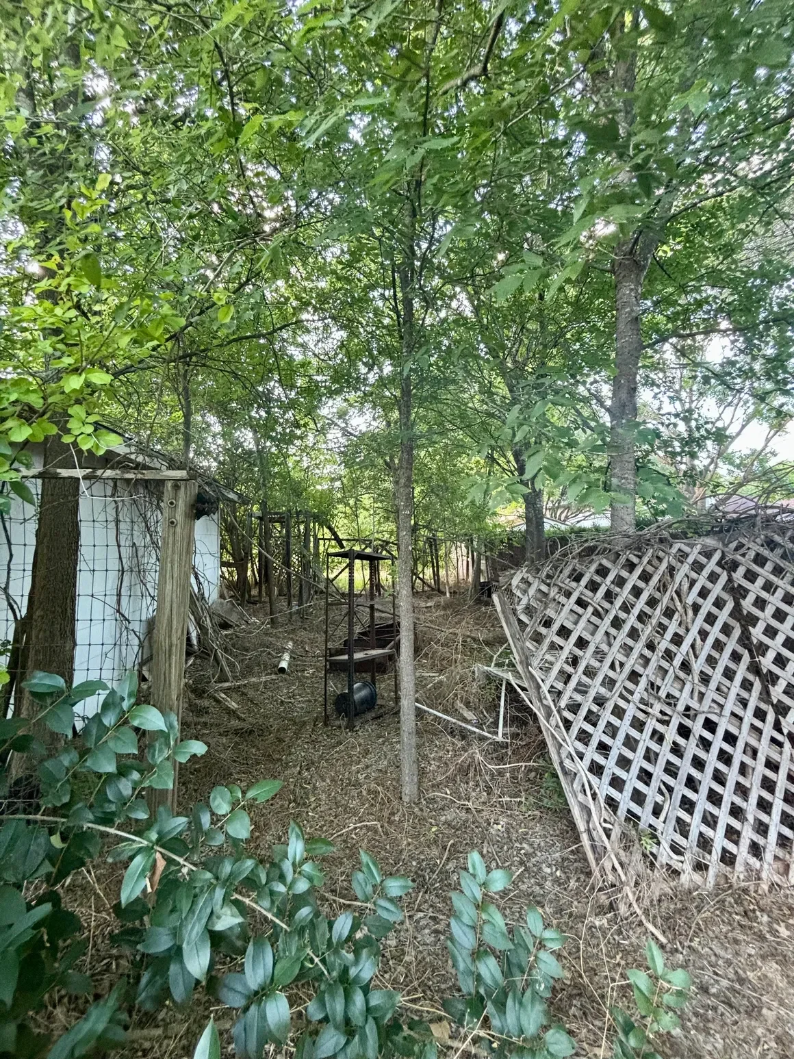 rs=w_1160,h_1547 (3).webp