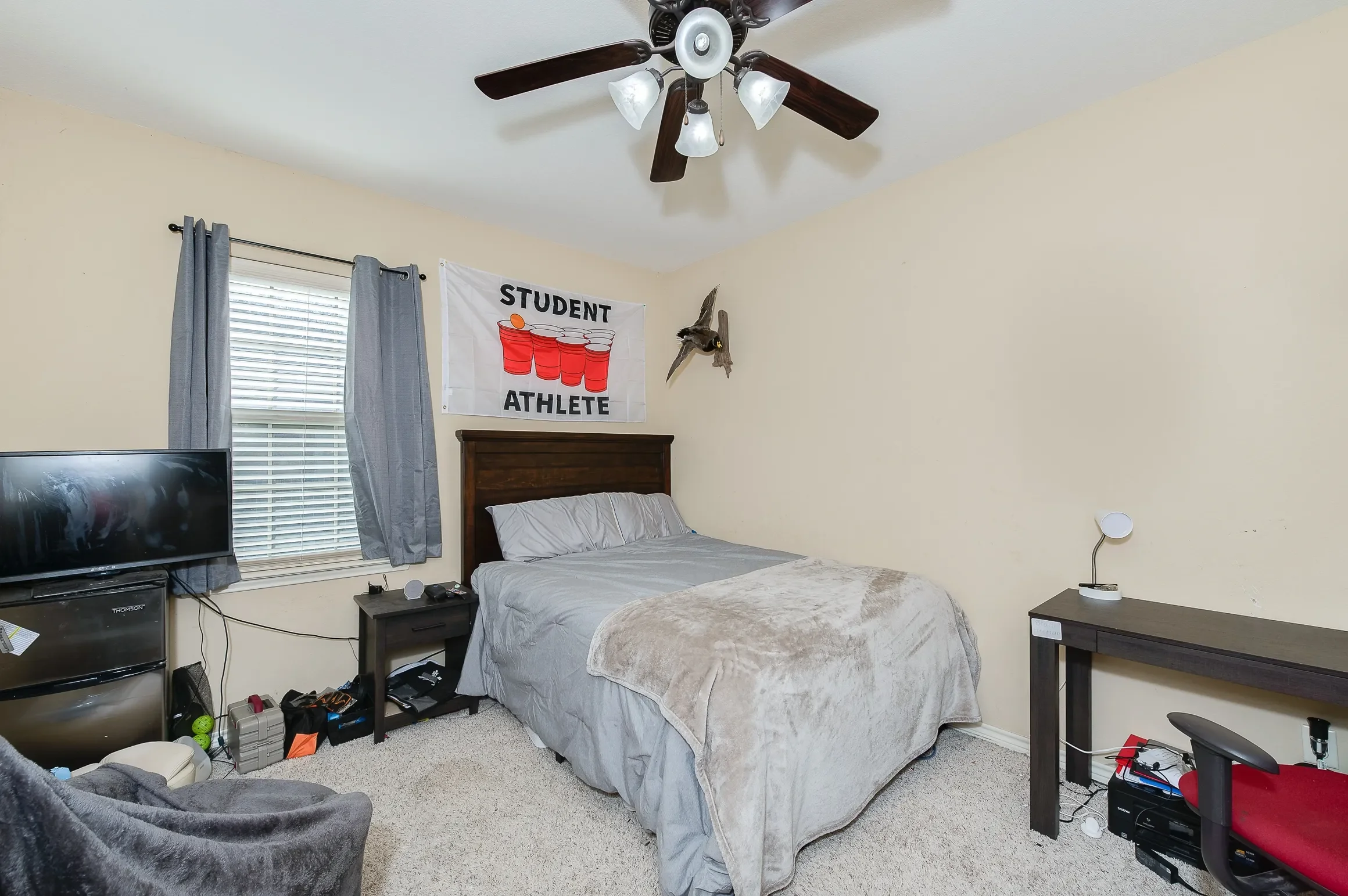 rs=w_2320,h_1543 (15).webp