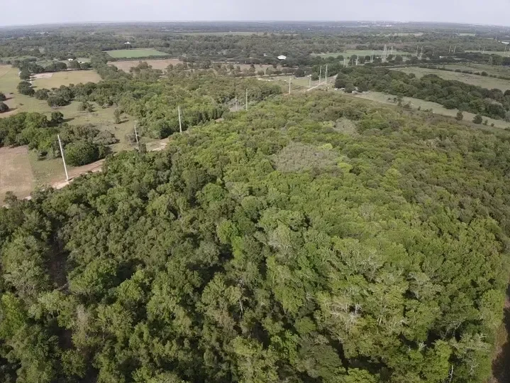 rs=w_719,h_539 (6).webp