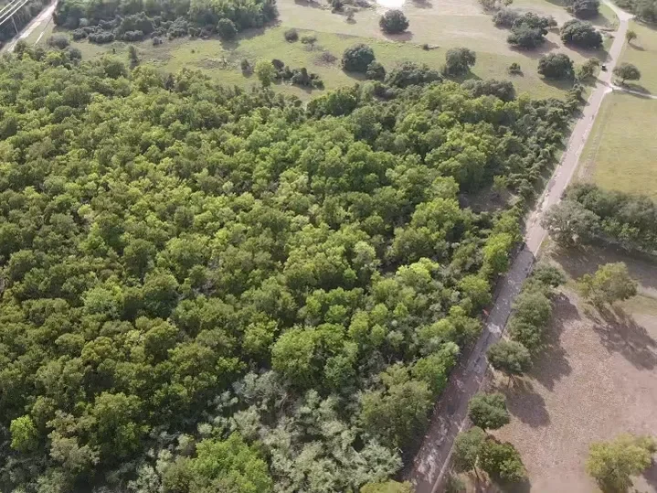 rs=w_719,h_539 (8).webp