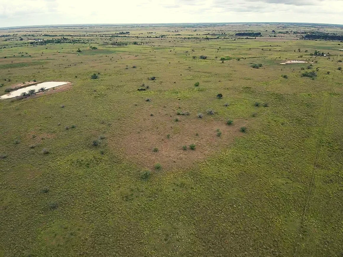 rs=w_1160,h_870 (1).webp