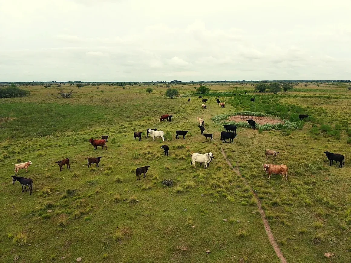 rs=w_1160,h_870 (8).webp