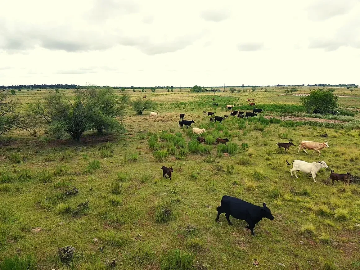 rs=w_1160,h_870 (9).webp