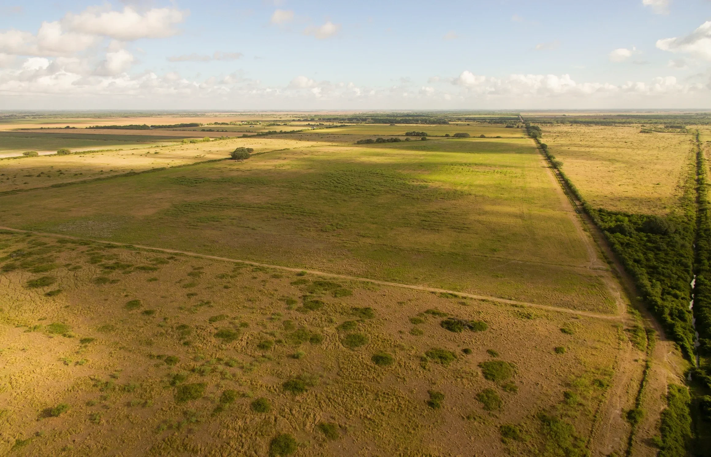 rs=w_2320,h_1492 (1).webp