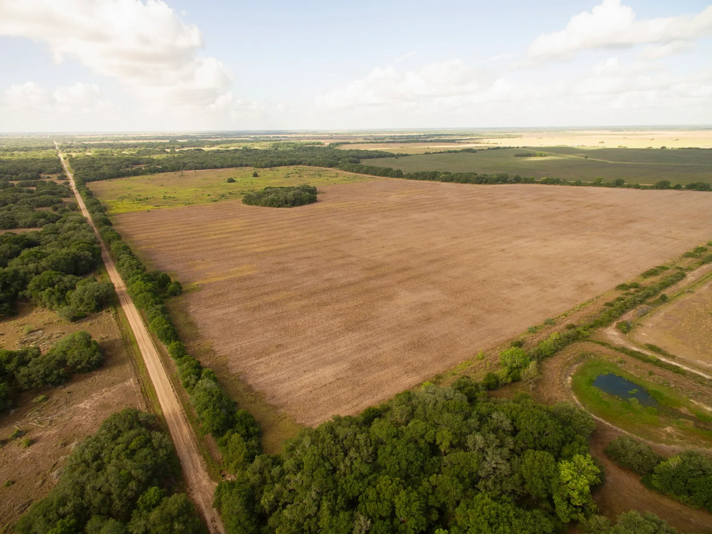 rs=w_2320,h_1739 (5).webp