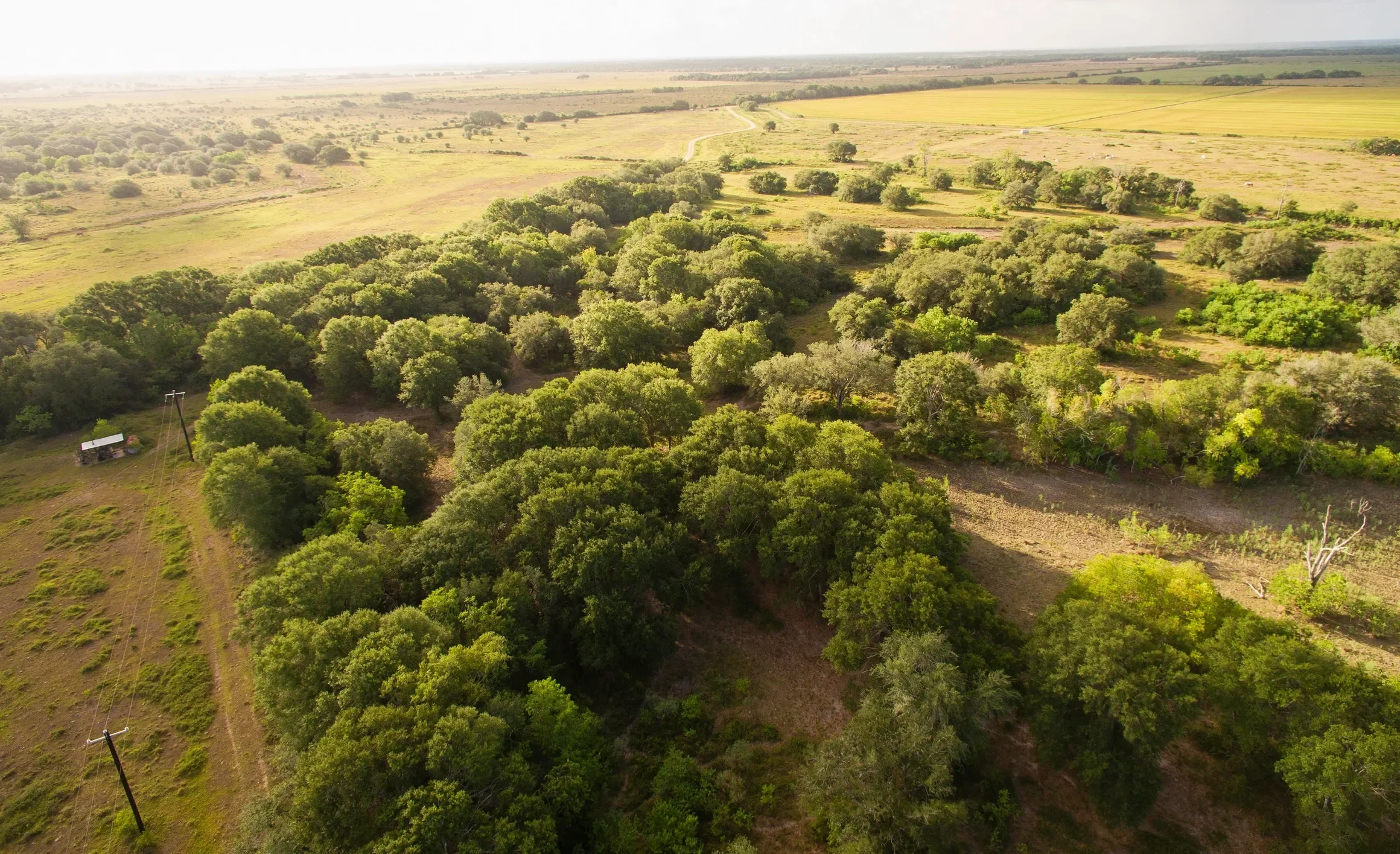 rs=w_2320,h_1415 (1).webp