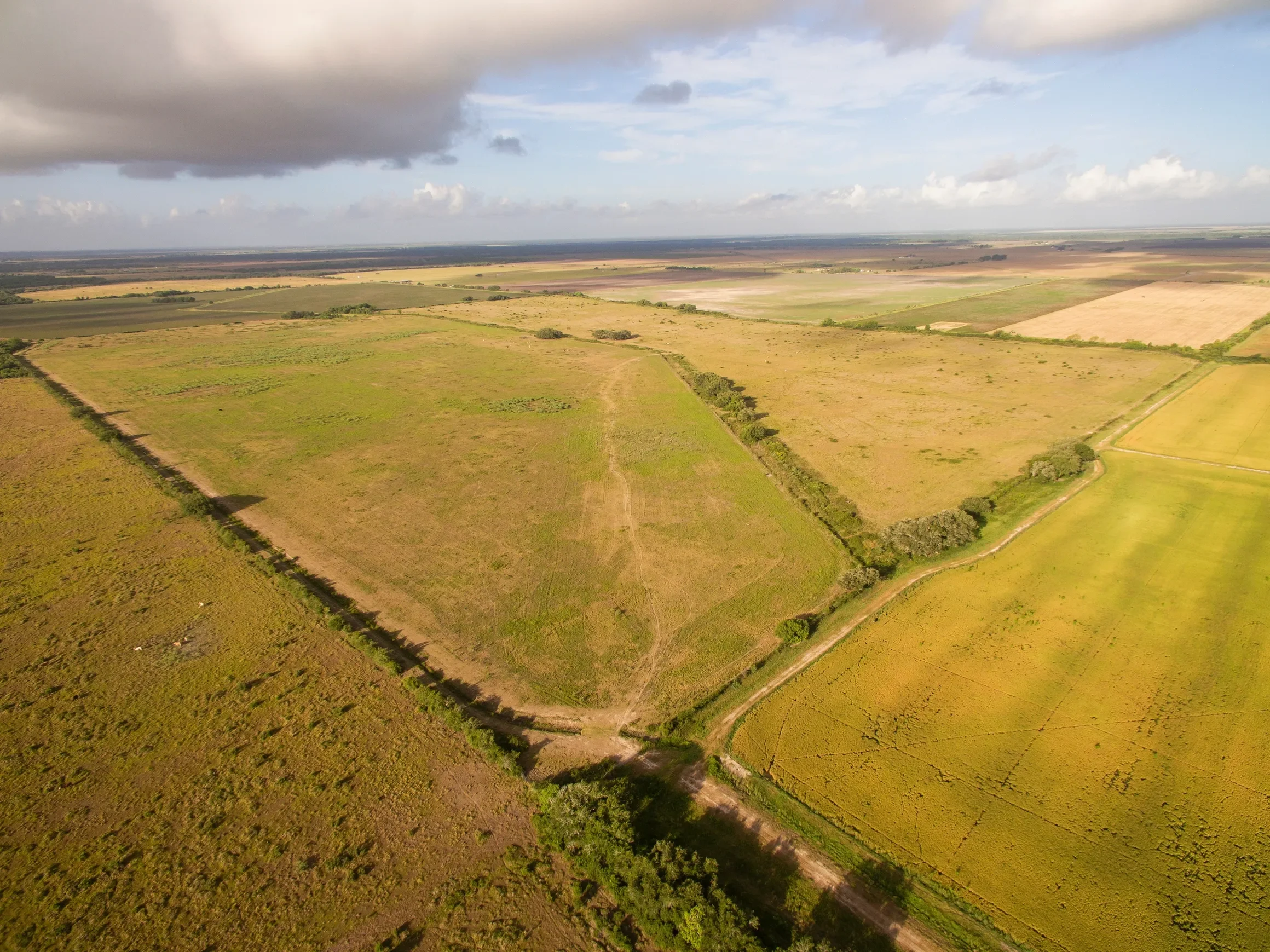 rs=w_2320,h_1739 (2).webp