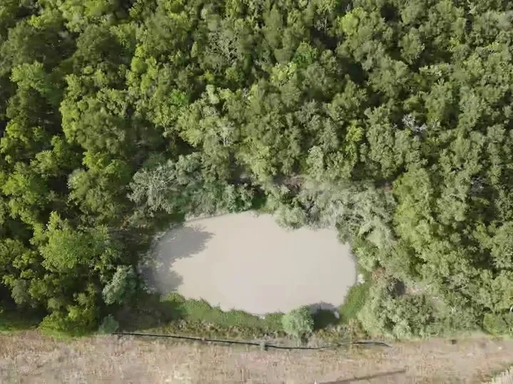 rs=w_719,h_539 (1).webp