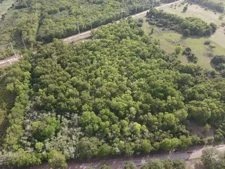 rs=w_719,h_539 (11).webp