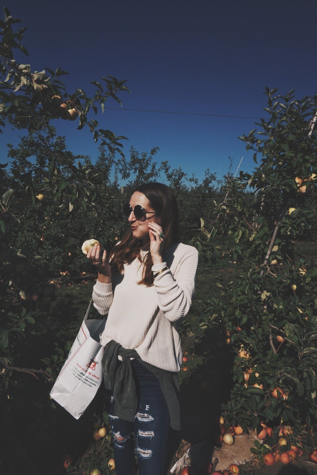 Woman in sunglasses holding an apple in an apple orchard on a sunny day.