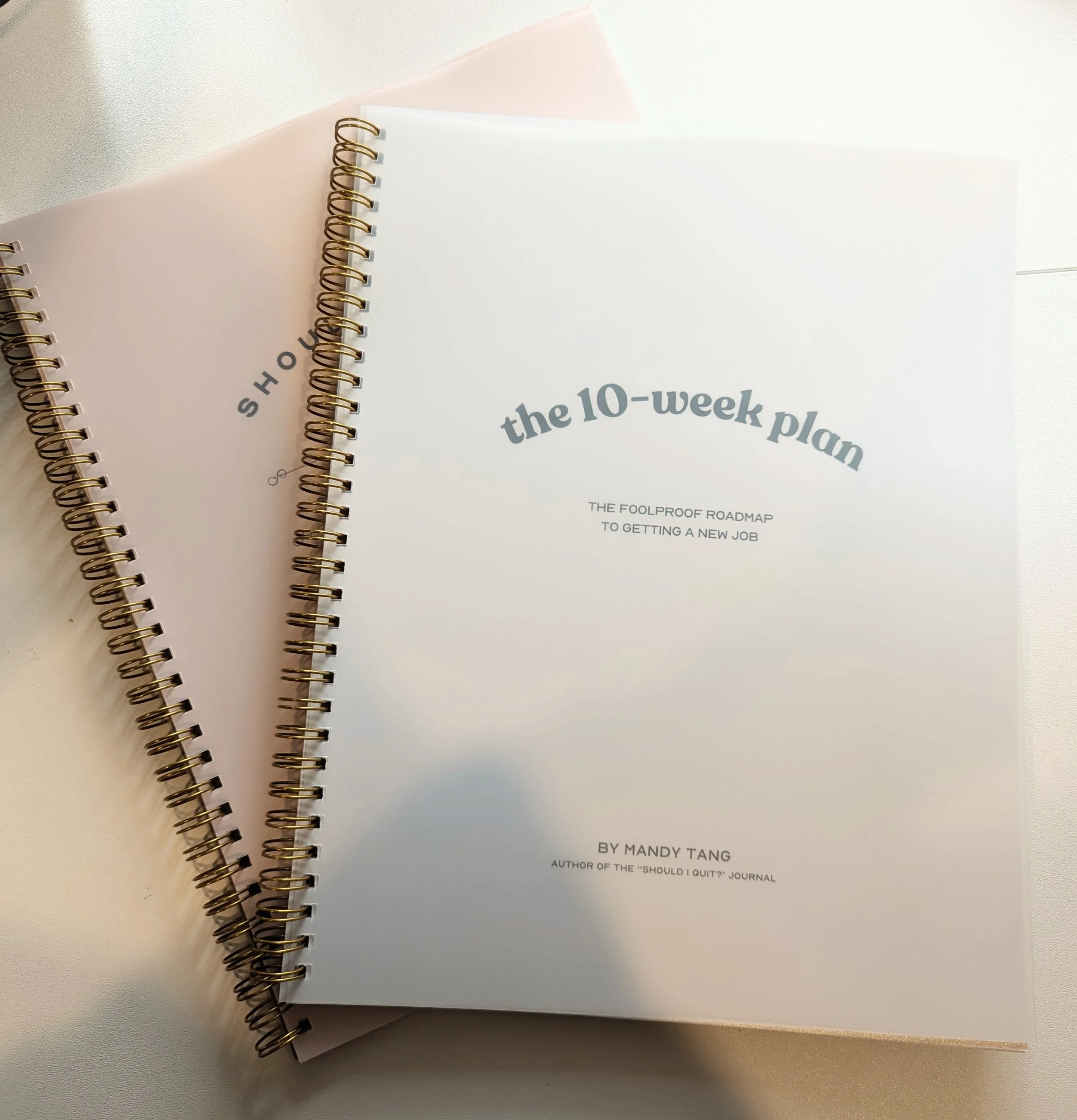 The Should I Quit Journal