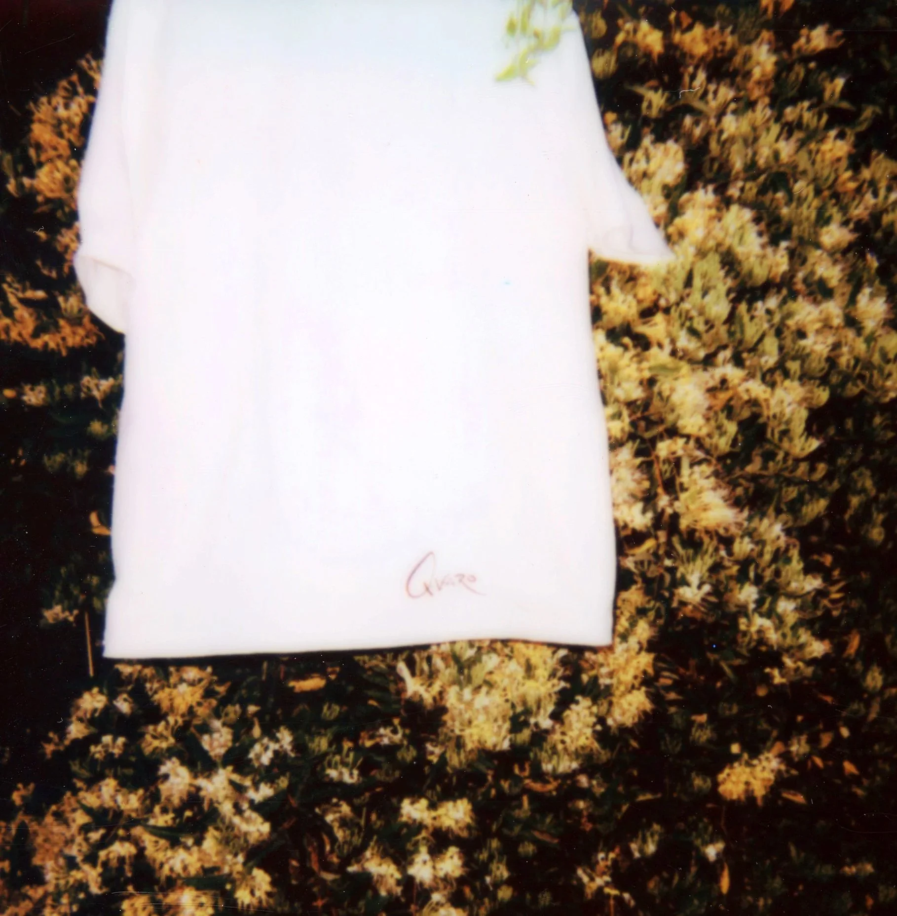 Scan+10.jpg