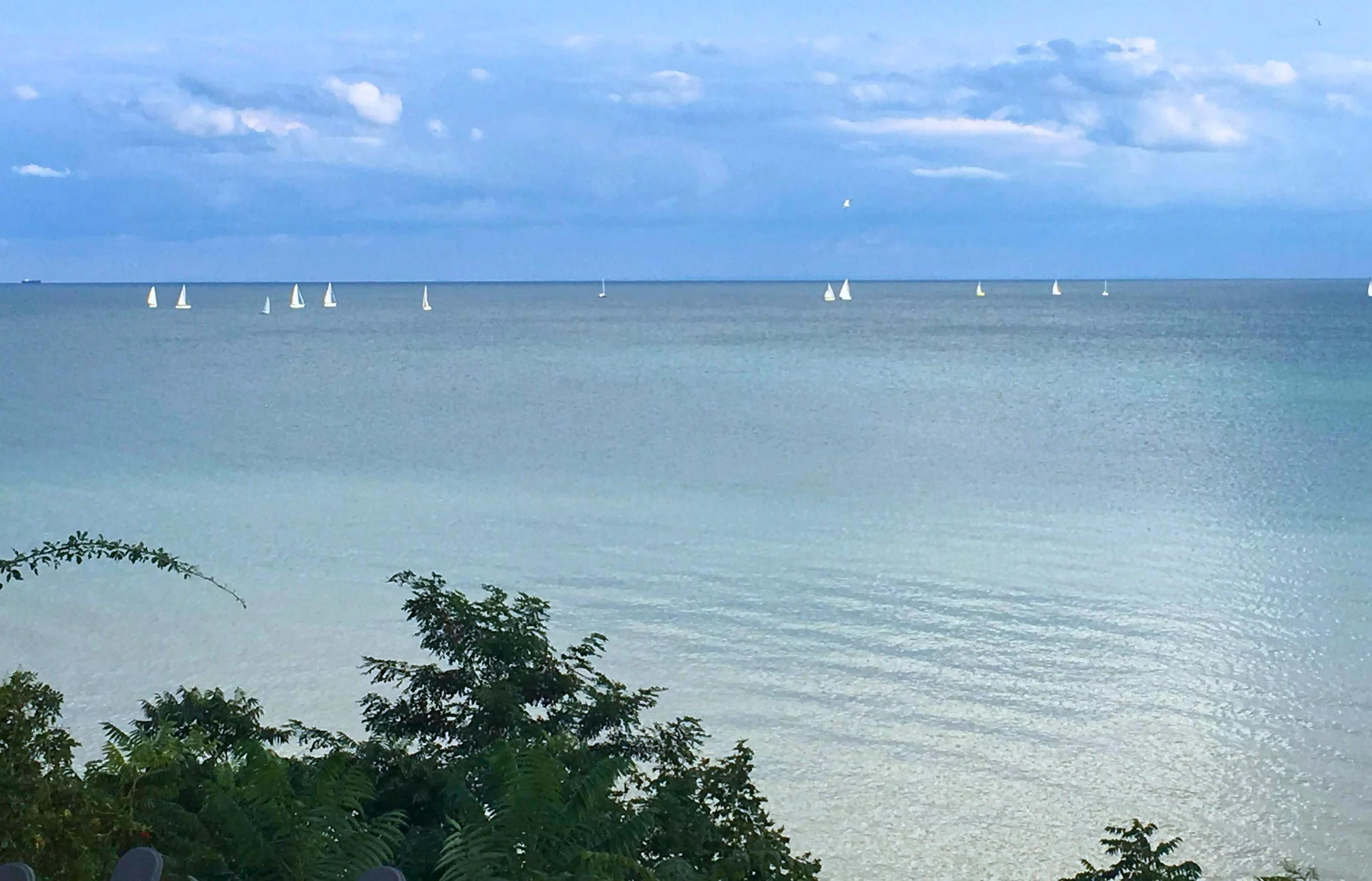 A calm blue ocean with multiple sailboats on the water and a cloudy sky above, with some green foliage at the bottom of the image.