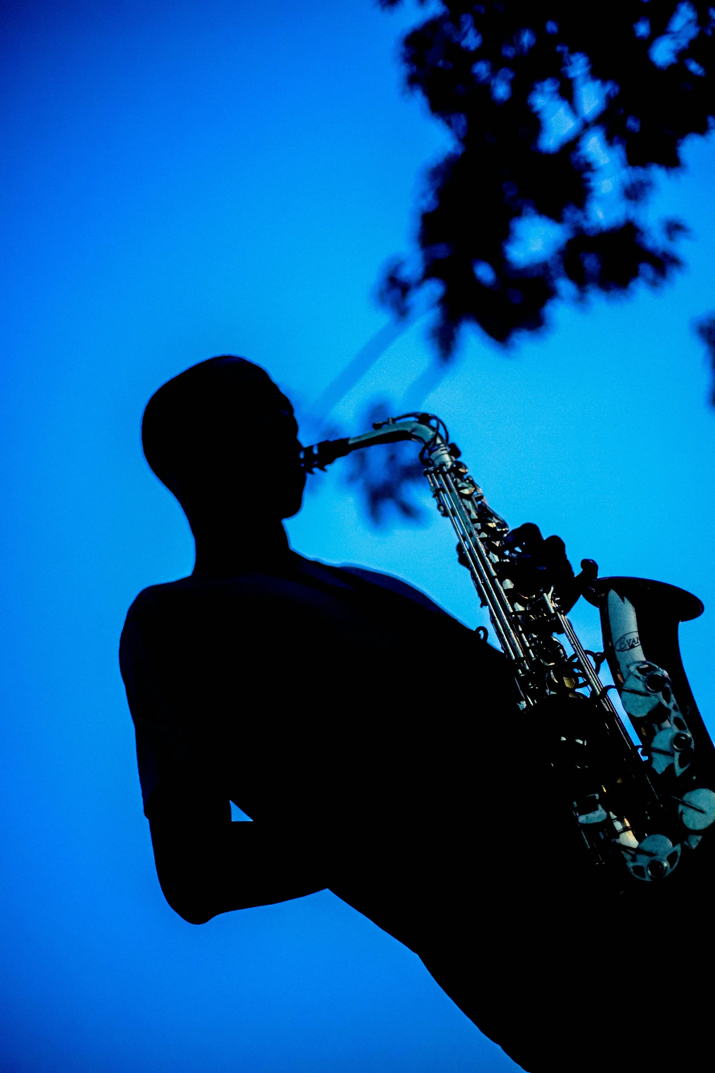 Monterey Jazz Festival