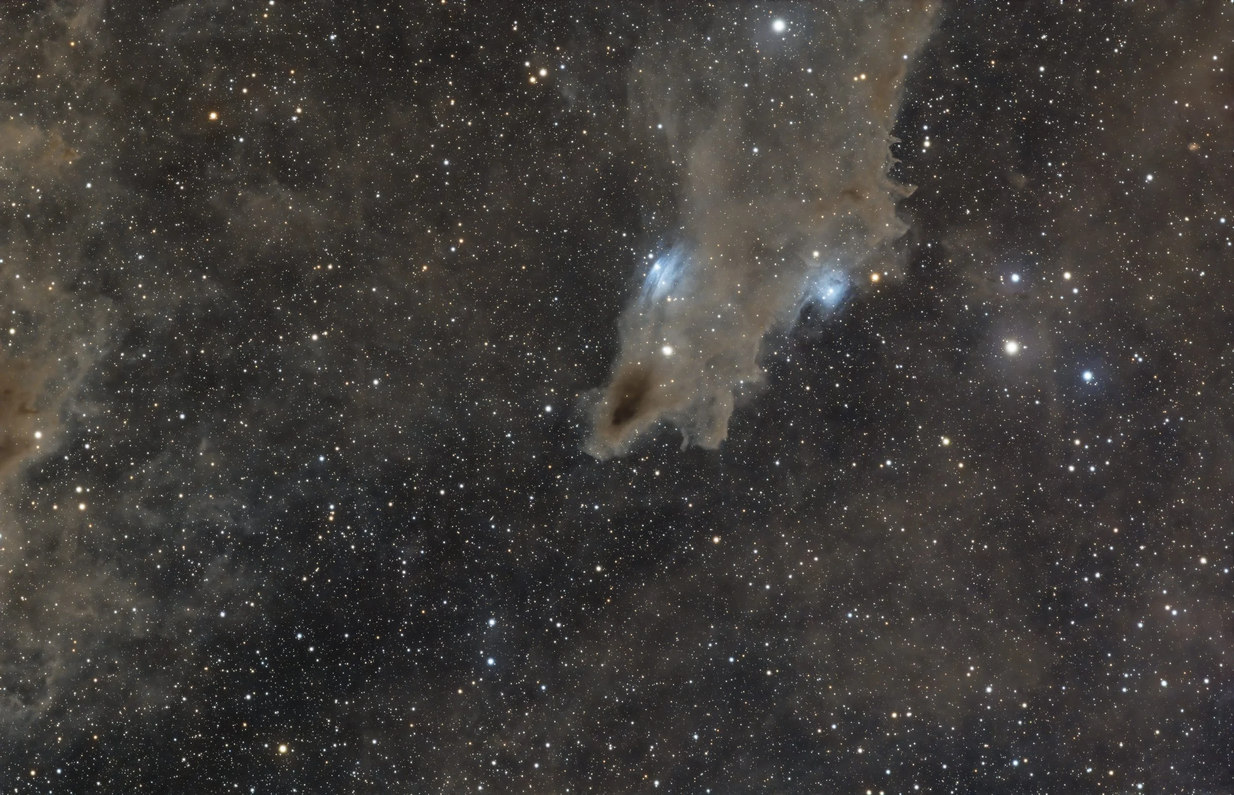 A wide field image of a section of outer space showing numerous stars, nebulae, and cosmic dust clouds in various shades of dark brown, beige, and blue.