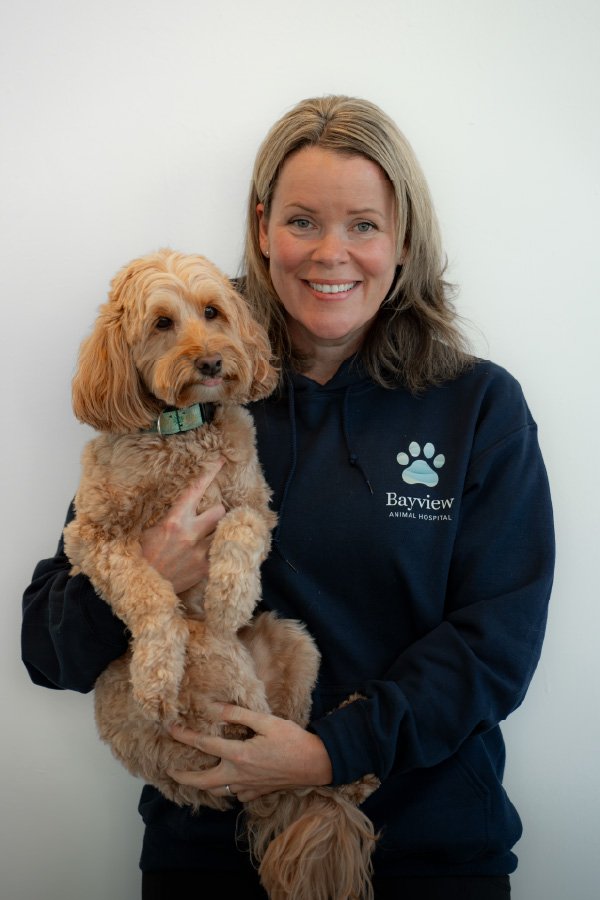 Erin Burridge holding a small, light brown, curly-haired dog in front of a white wall. Erin is wearing a navy blue Bayview Animal Hospital hoodie and smiling at the camera.