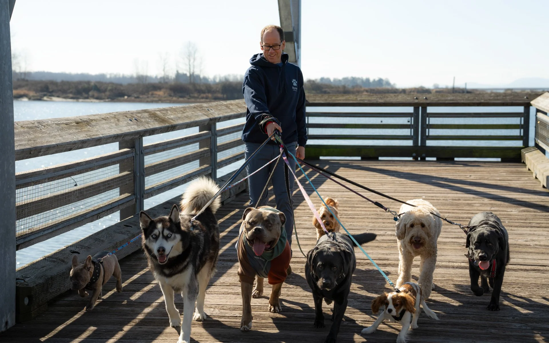 Dr. Art Ceballos walking multiple dogs on a wooden dock by a body of water on a sunny day.