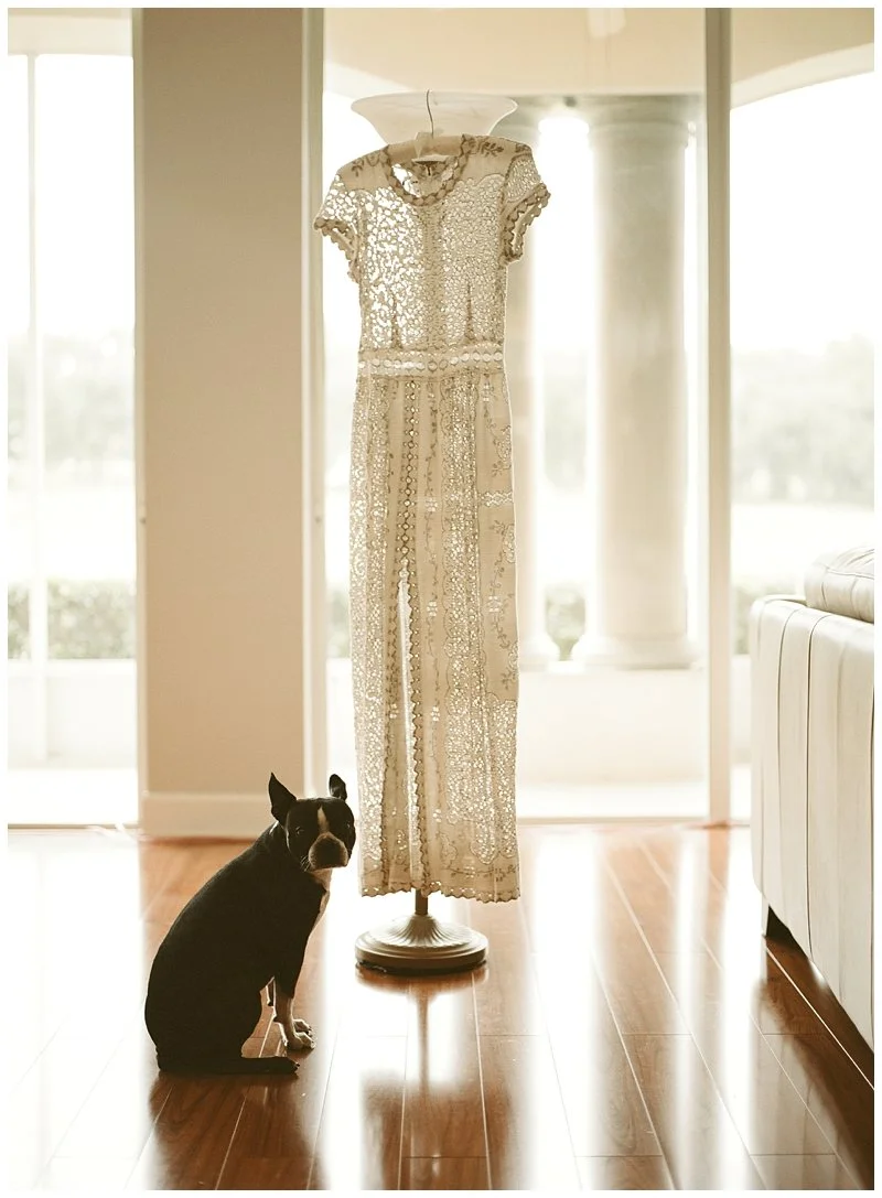 A vintage, cream-colored lace dress on a dress form in a sunlit room, with a black and white dog sitting next to it on a wooden floor. Shot on film