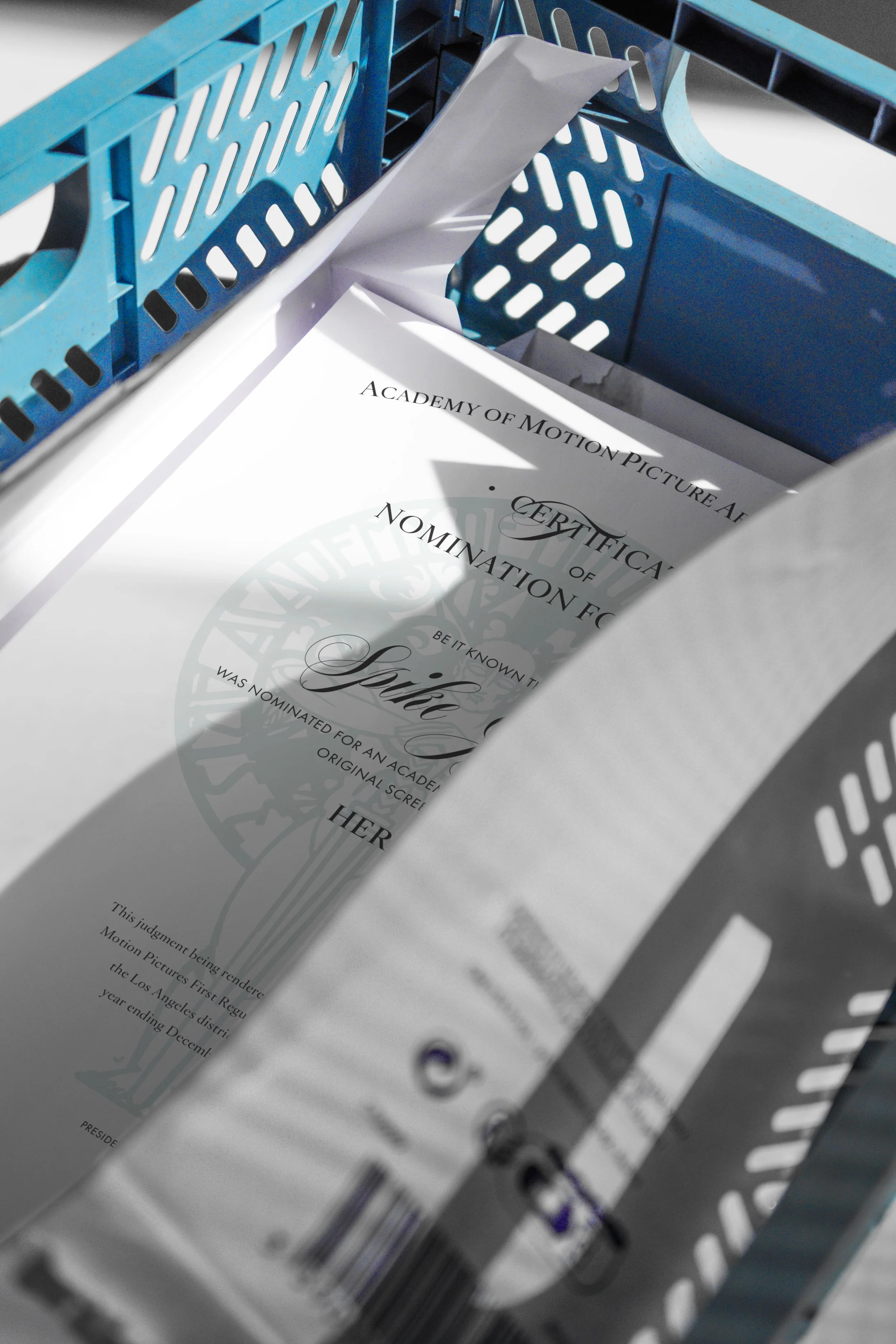 academy_nomination.jpg