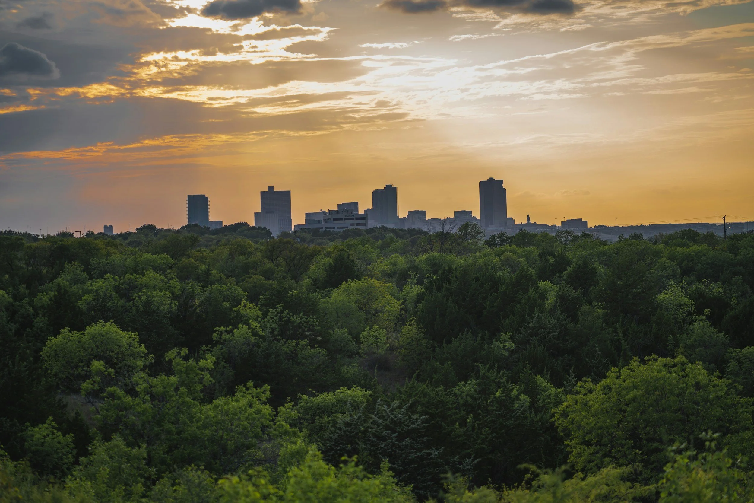 Dallas city skyline at sunset with high-rise buildings in the distance and a foreground of lush green trees.