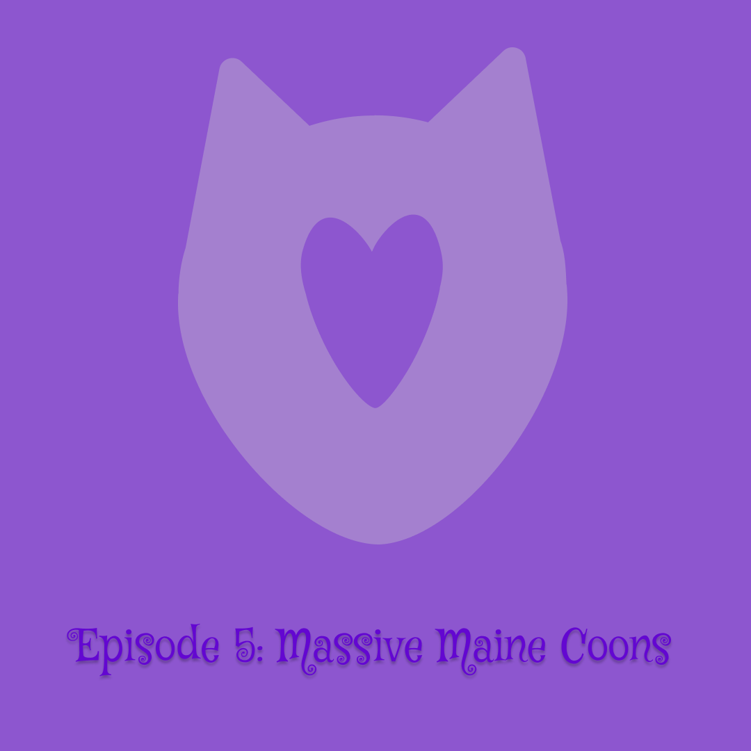 Instagram post - 14.png