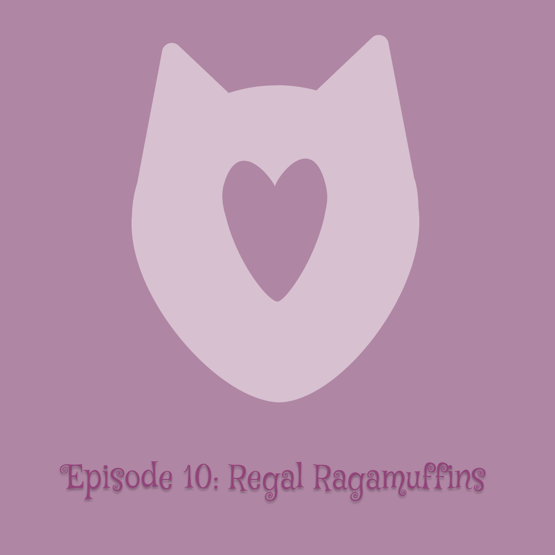 Instagram post - 19.png