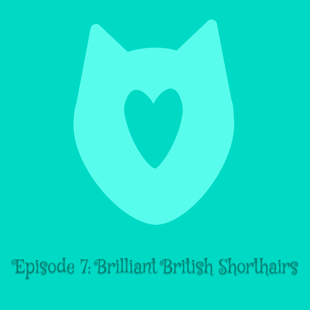 Instagram post - 16.png