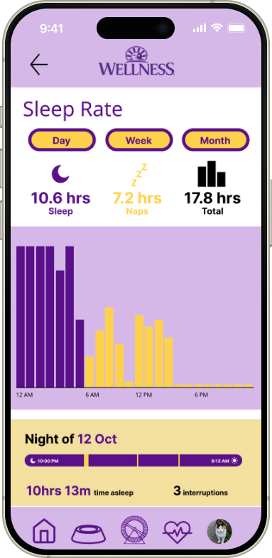 iPhone 16 Light 11.png