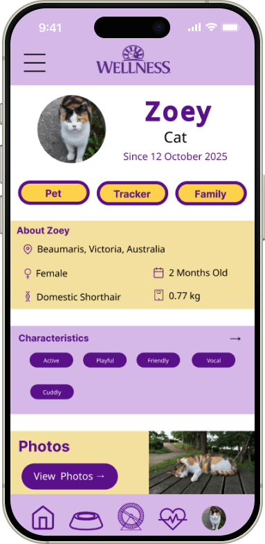 iPhone 16 Light 9.png