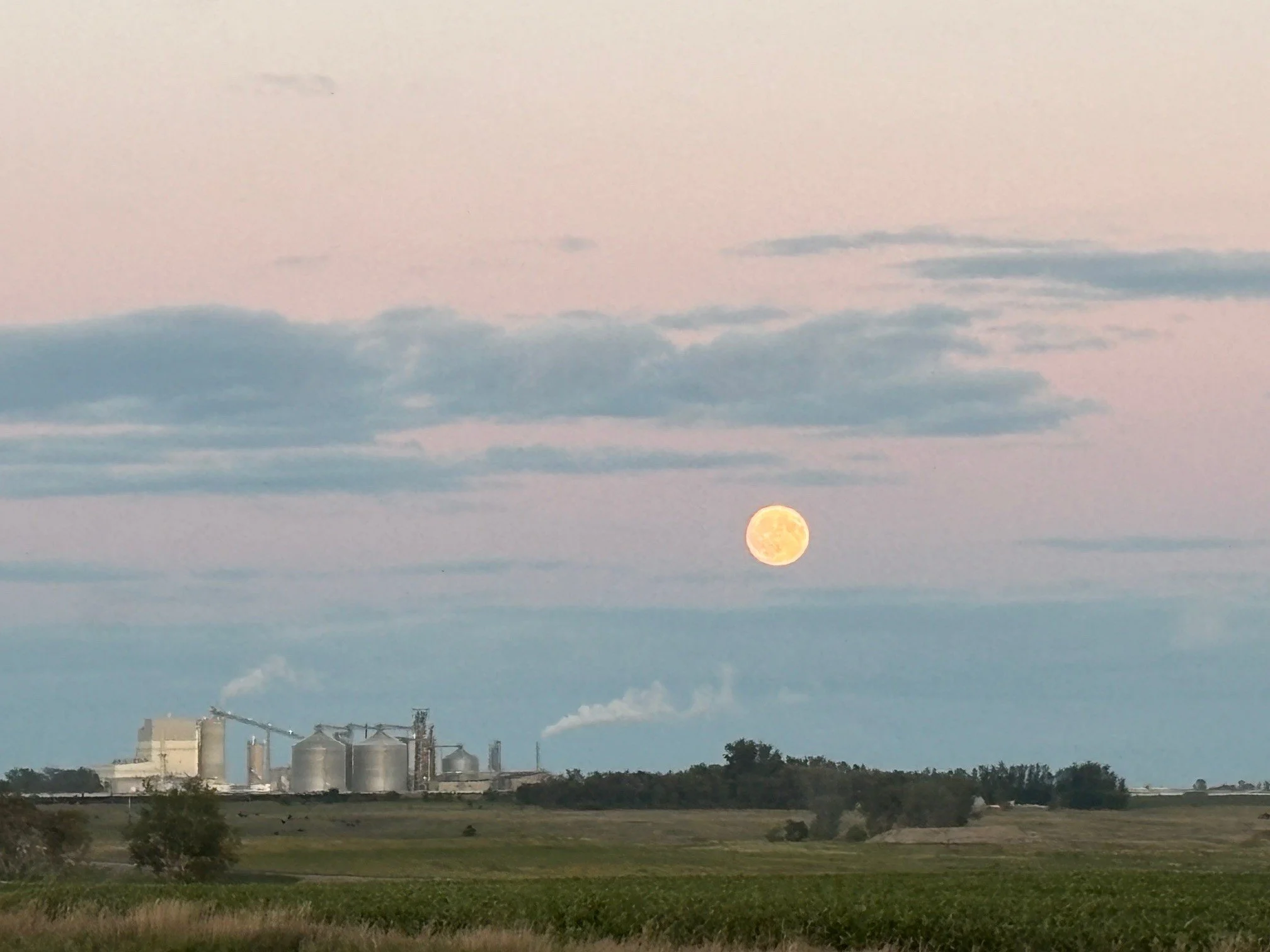 Executive & Leadership Advisory