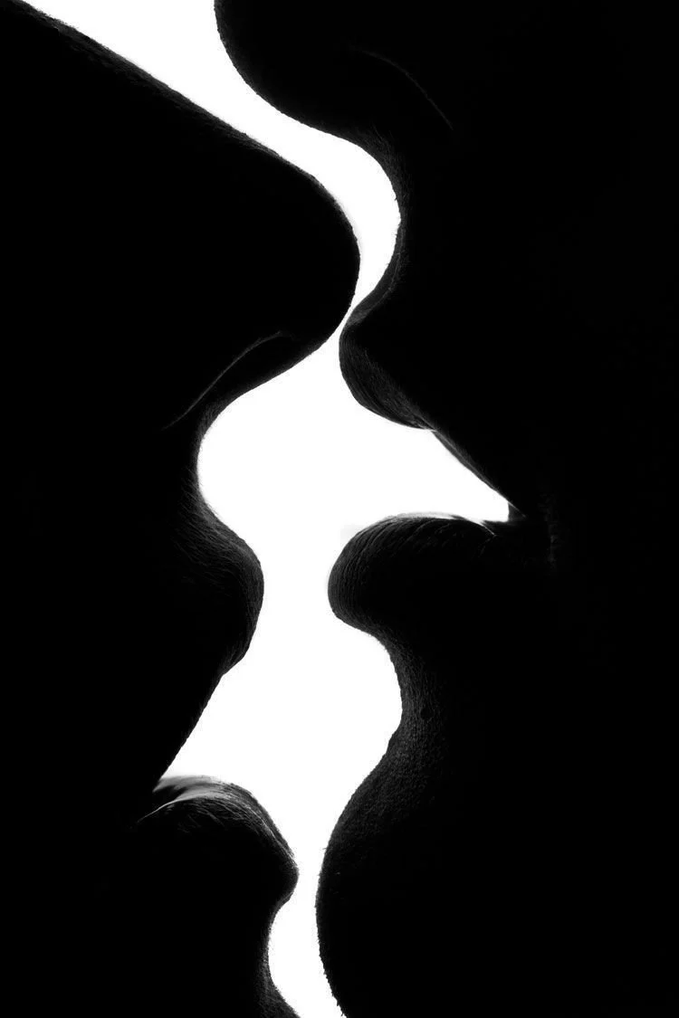 Silhouette of two people about to kiss, facing each other, in black and white.