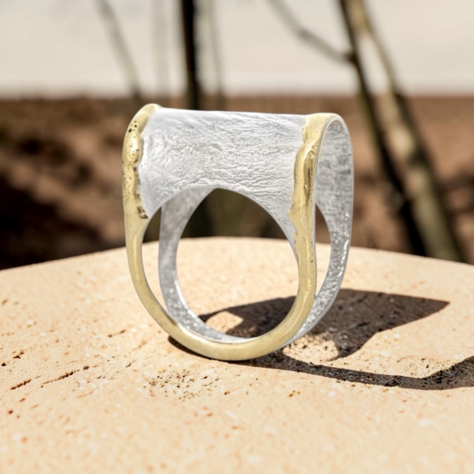 Lisa's Loop Sterling Silver, 14k Gold