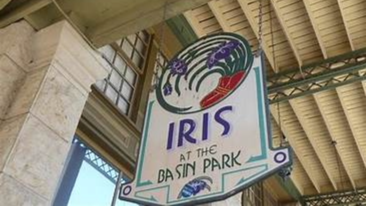 Iris at the Basin Park Eureka Springs, Arkansas