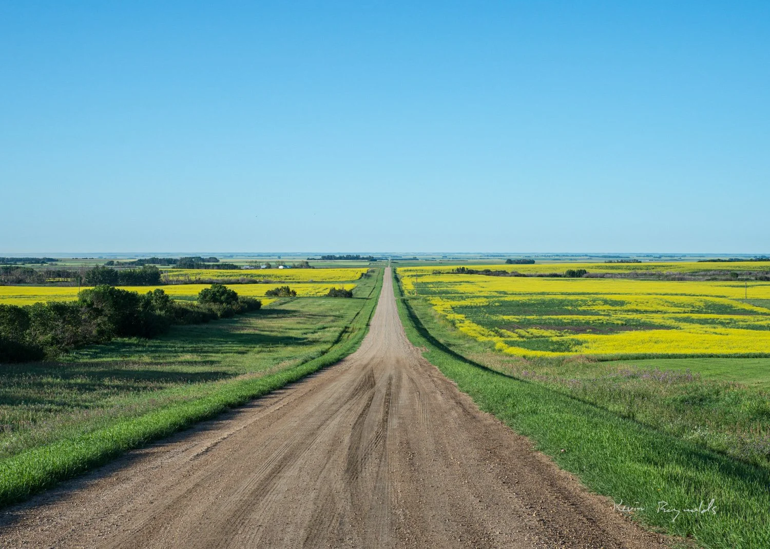 Rural countryside in the Saskatoon region, SK