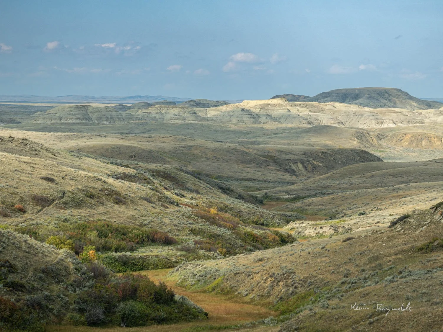 Grasslands Park - East