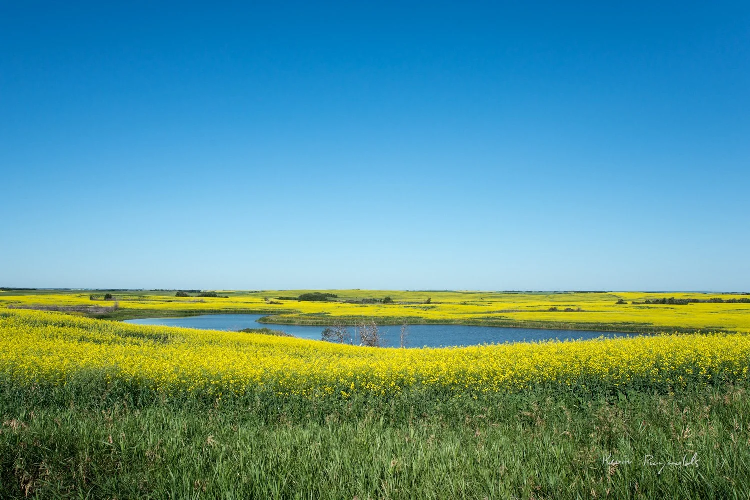Prairie pothole in the Saskatoon region, SK