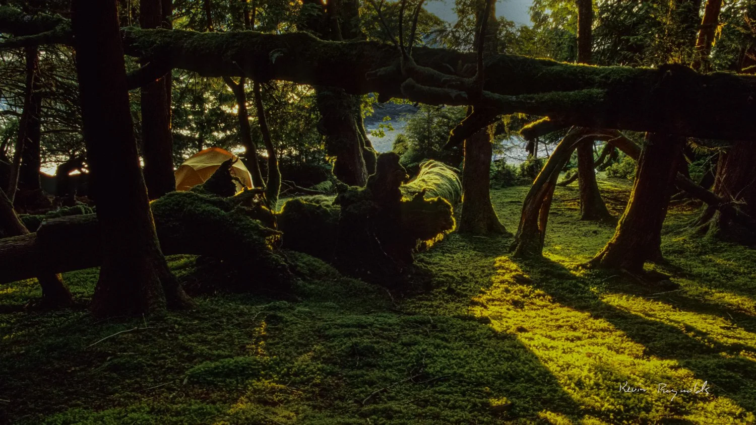 Campsite on Haida Gwaii, BC