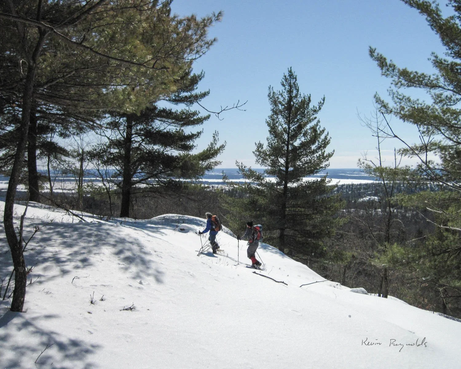 A beautiful winter snowshoe