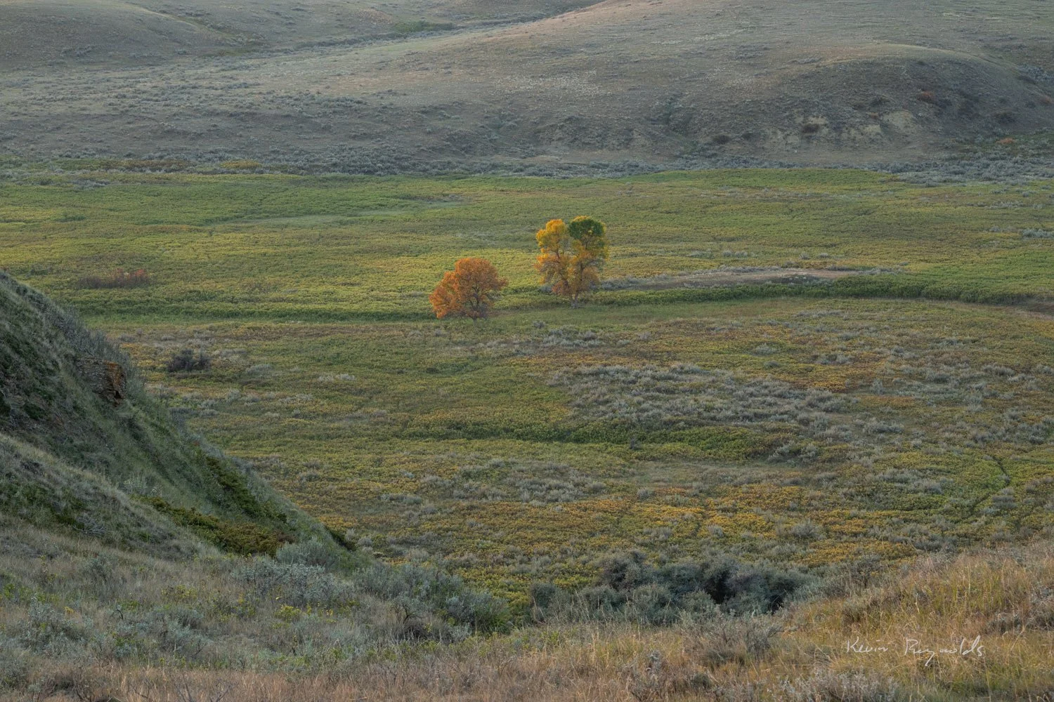 East Block of Grasslands National Park, SK