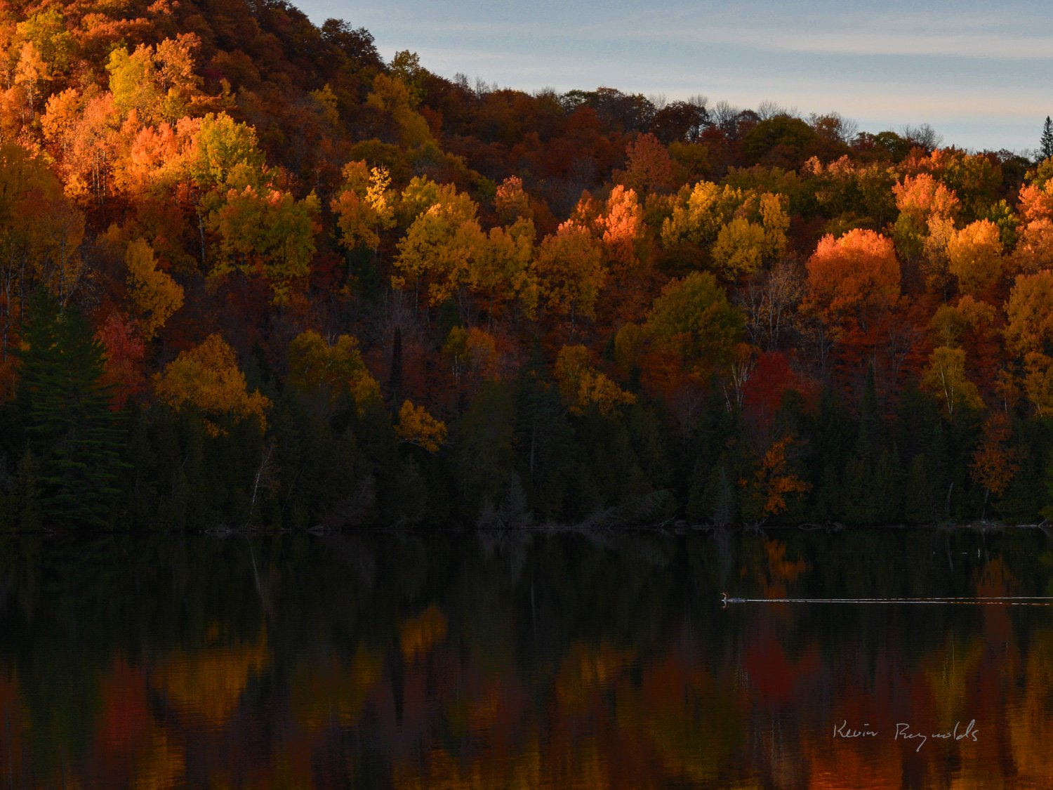 Fall colour in the Outaouais, QC
