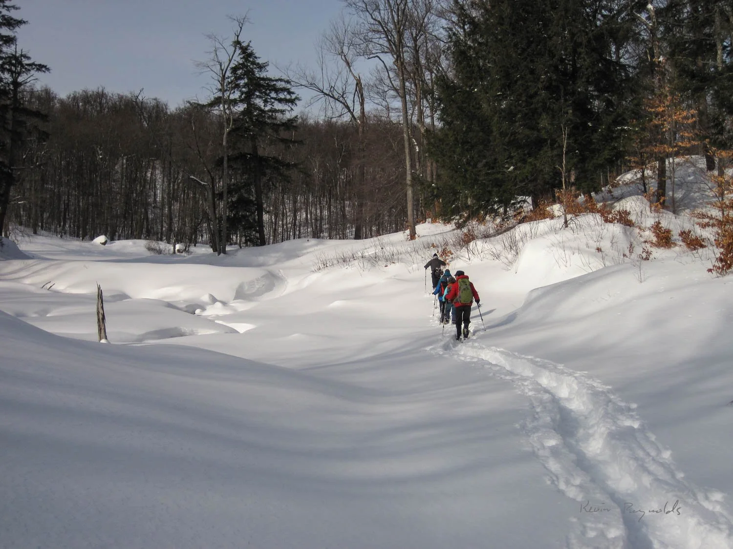 Breaking trail with snowshoes