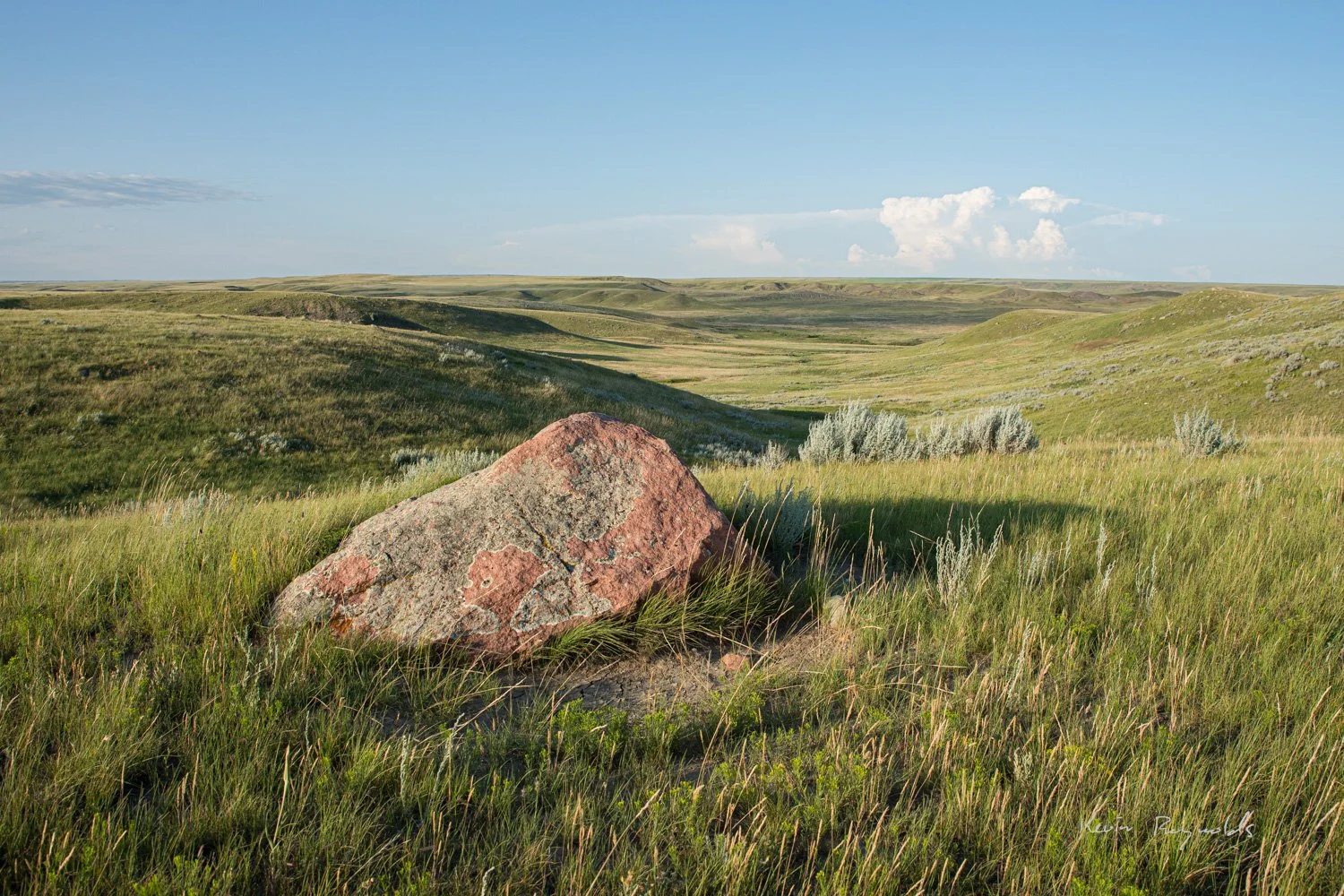 Glacial erratic in the West Block of Grasslands National Park, SK