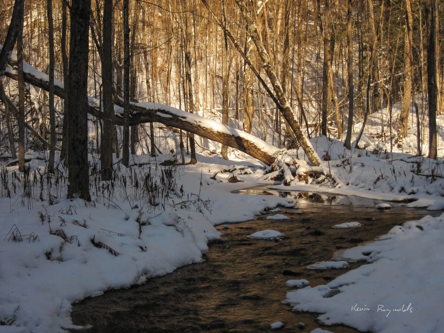 Creek in the Outaouais