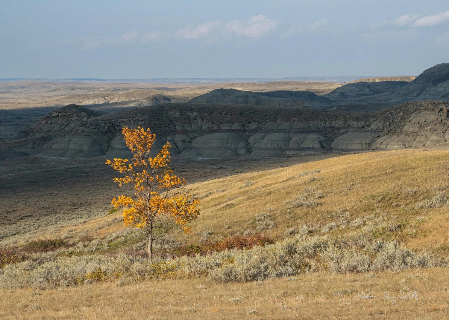 East Block of Grasslands National Park, SK